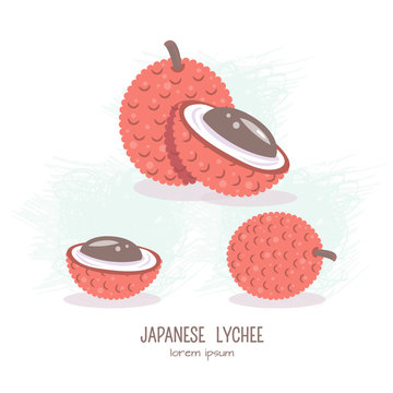 Vector illustration of Lychee fruit