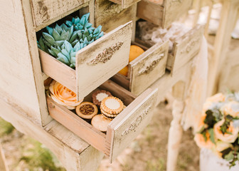 wedding decor outdoor. green plants - succulents and sweet cookies in small boxes of a vintage...