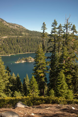 Lake Tahoe Through Trees