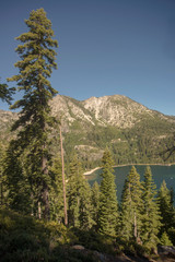 Lake Tahoe Through Trees