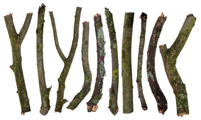 Set of sticks covered in lichen isolated on white background