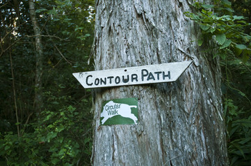 Hogsback Mountain Village Eastern Cape South Africa