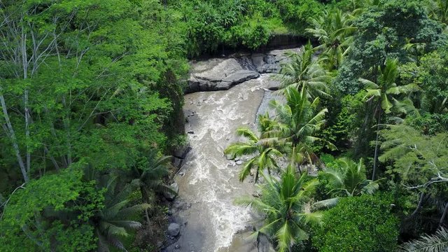 Tropischer Flu&szlig; Ayung in Bali