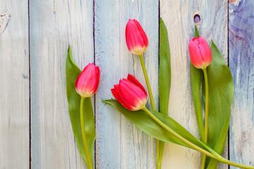 Red Tulips on a Wooden Table