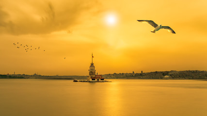Naklejka premium Seagulls around the Maiden Tower in Istanbul, Turkey