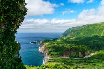 A View from the Azores