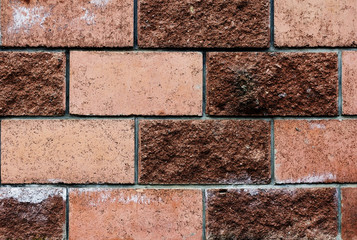 texture of the masonry brick red