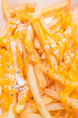 close up french fries with cheese