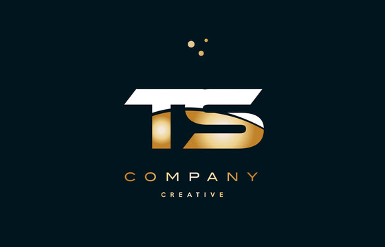 ts t s  white yellow gold golden luxury alphabet letter logo icon template