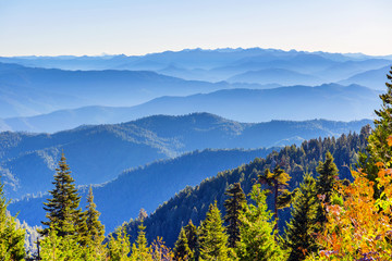 view North East on South Fork Mountain Road, Humboldt County, California