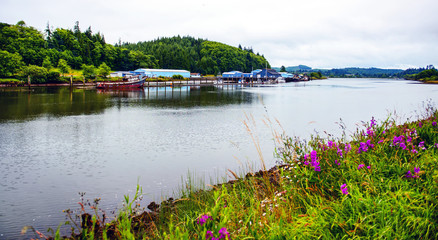 Willapa River, Raymond, Washington