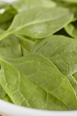 Fresh, raw, baby spinach leaves.