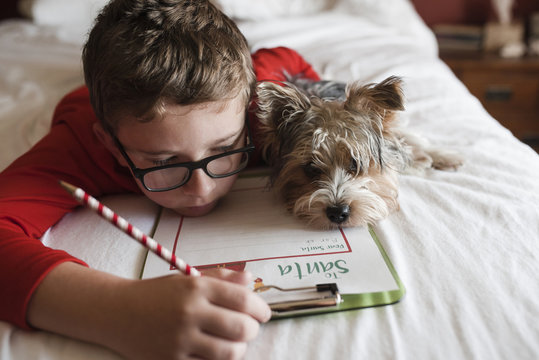 Close-up of boy writing letter while lying on bed with Yorkshire Terrier