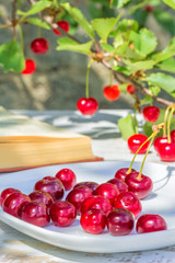 Red cherries on a plate and berries on a branch
