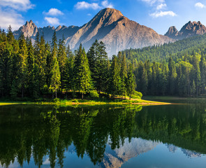 spruce trees near the lake in mountains