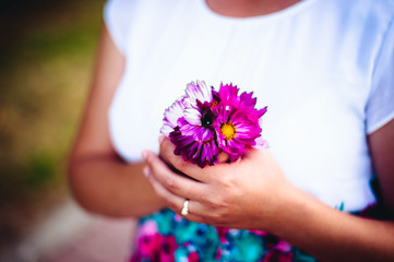 hand holding flowers. purple flowers in hand