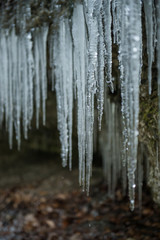 Obraz premium Icicles Close Up