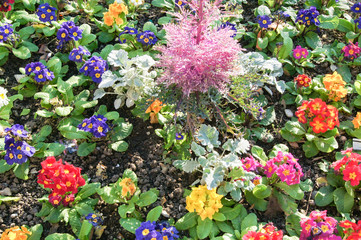 Flower arrangement on a flowerbed.