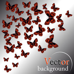 Red butterflies. Abstract background.