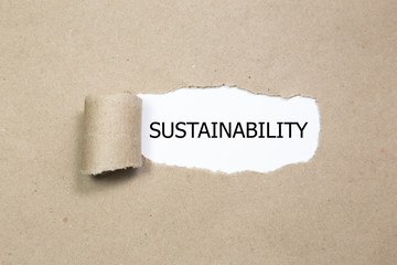 The word Sustainability appearing behind torn paper.