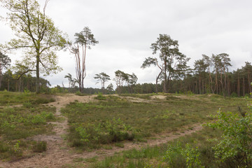 Holmer Sandberge, Geotop