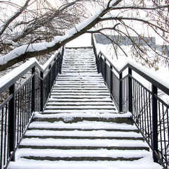 лестница в снегу