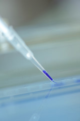 Closeup of liquid in pipette