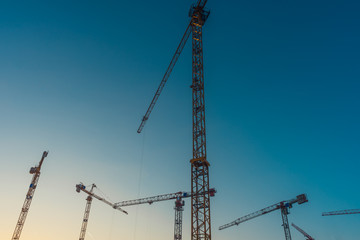 Five tower cranes under clear sky