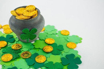 St. Patrick's Day shamrocks and pot filled  © WavebreakMediaMicro