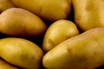 Organic Small Potatoes Close Up View