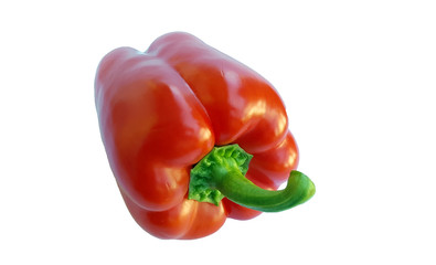 Red pepper over white background
