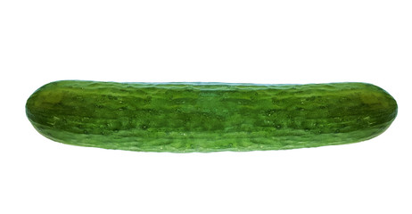 One green cucumber