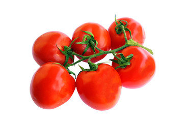 Fresh tomatoes over white background