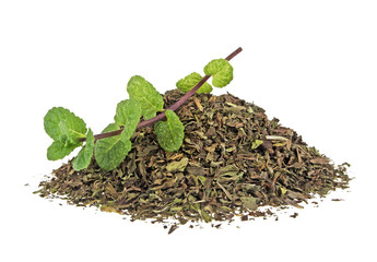 Fresh and dry mint on a white background