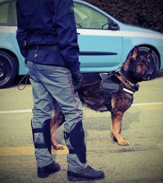 police dog while patrolling the city streets to prevent terroris