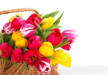 Tulpen - Hintergrund