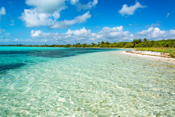 Stunning Caribbean Landscape