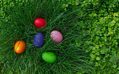 Fototapeta na wymiar Easter eggs on green grass. Outdoor background with copy space. Top view.