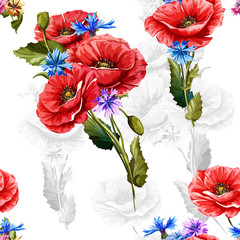 Poppy with cornflowers. Seamless background pattern of poppy flowers. Vector - stock.