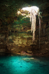 Blue cenote with hanging roots and clear water