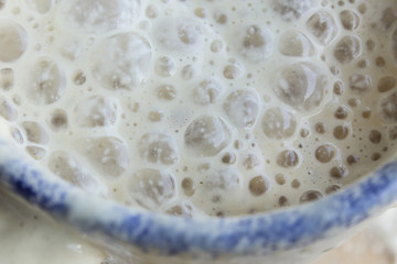 Fototapeta na wymiar Yeast Fermented in a Cup