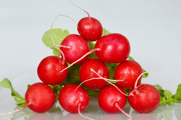 Bunch of fresh red radishes on light background