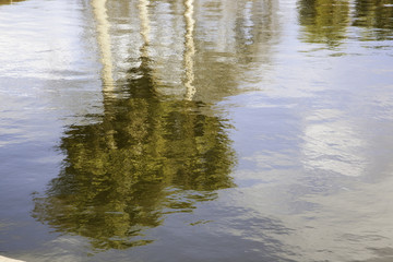 Trees and clouds being reflected in water with small waves