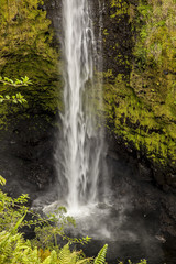 Fototapeta na wymiar Cascading Waterfall