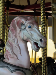 Fototapeta na wymiar Merry-Go-Round Carousel Horse Head