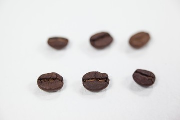 Roasted coffee beans