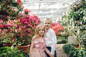 Little boy and girl are walking in a blooming garden - obrazy, fototapety, plakaty