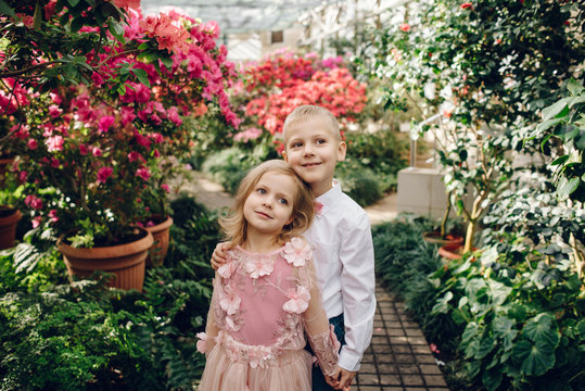 Little boy and girl are walking in a blooming garden