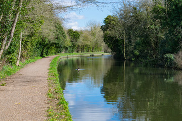 Fototapeta na wymiar Lifford lane Canal, Birmingham, uk
