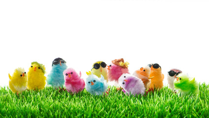 Easter chickens Funny travel holidays concept